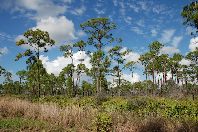 Charlotte Harbor Preserve State Park