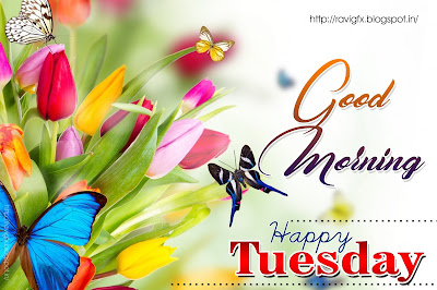 Happy-Tuesday-quotes-wishes-greetings-sayings-with-hd-wallpapers