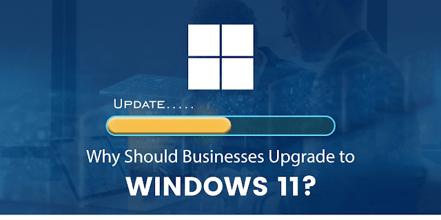 Windows 11 Pro OEM License