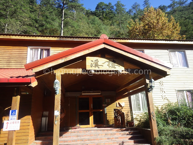 Wuling Farm maple autumn foliage