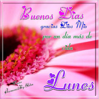 imagenes buenos dias lunes, feliz lunes, frases, dedicatorias y mensajes buenos dias lunes