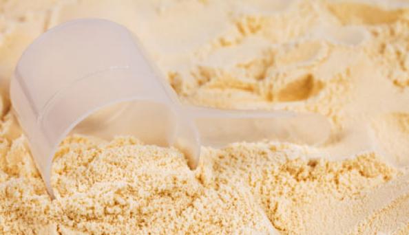 Whey Protein Powder : The Preferred Muscle Supplement