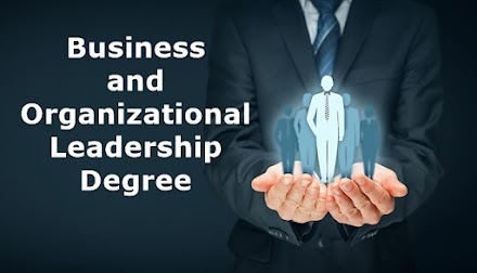 The 3 Skills You Can Learn from Taking a Business and Organizational Leadership Degree