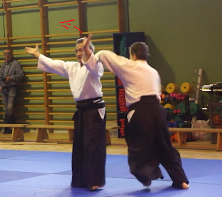 Aikido jujigarami