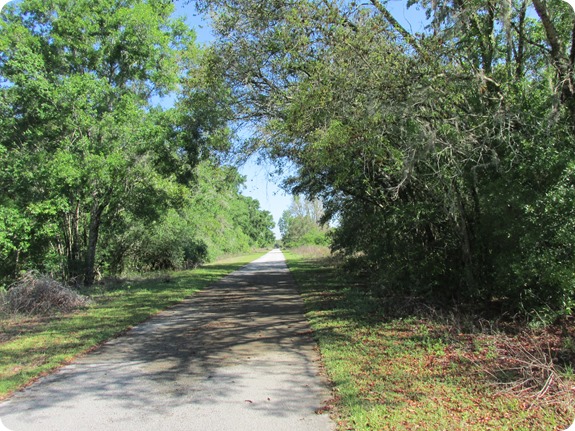 6 Withlacoochee Trail Scene