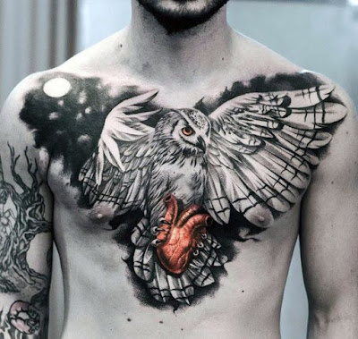 Owl tattoos ideas + design รอยสักรูปนกฮูก