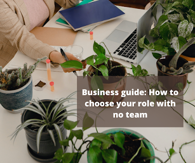 Business guide: How to choose your role with no teamBusiness guide: How to choose your role with no team