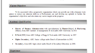 11+ Resume Format With Experience