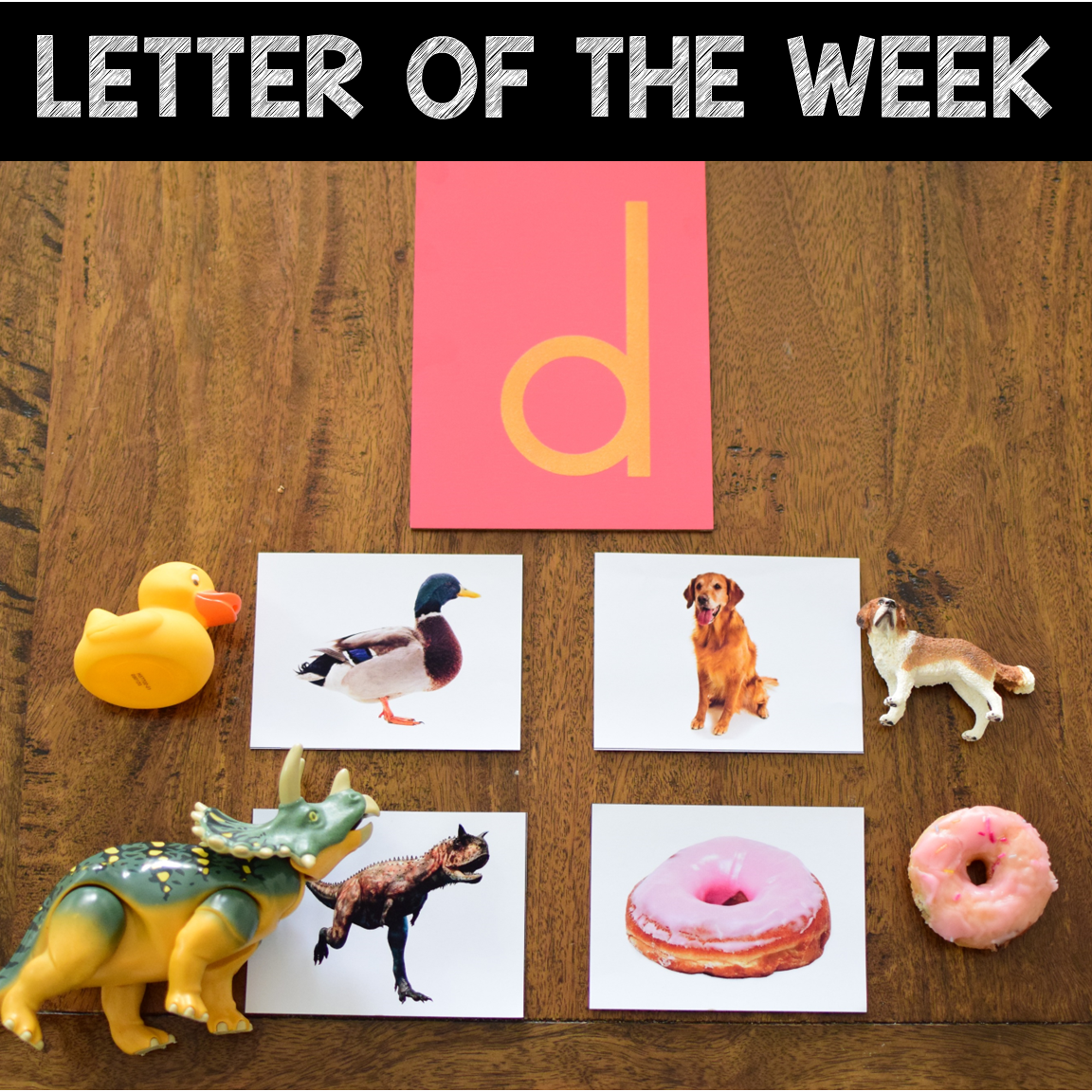 Letter D Curriculum - Letter of the Week | The Pinay Homeschooler