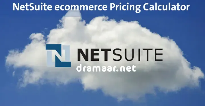 NetSuite ecommerce Pricing