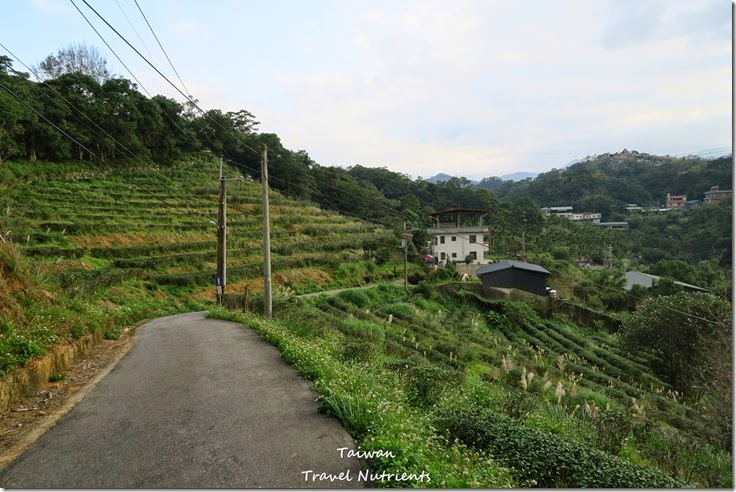 新店 文山農場 (43)