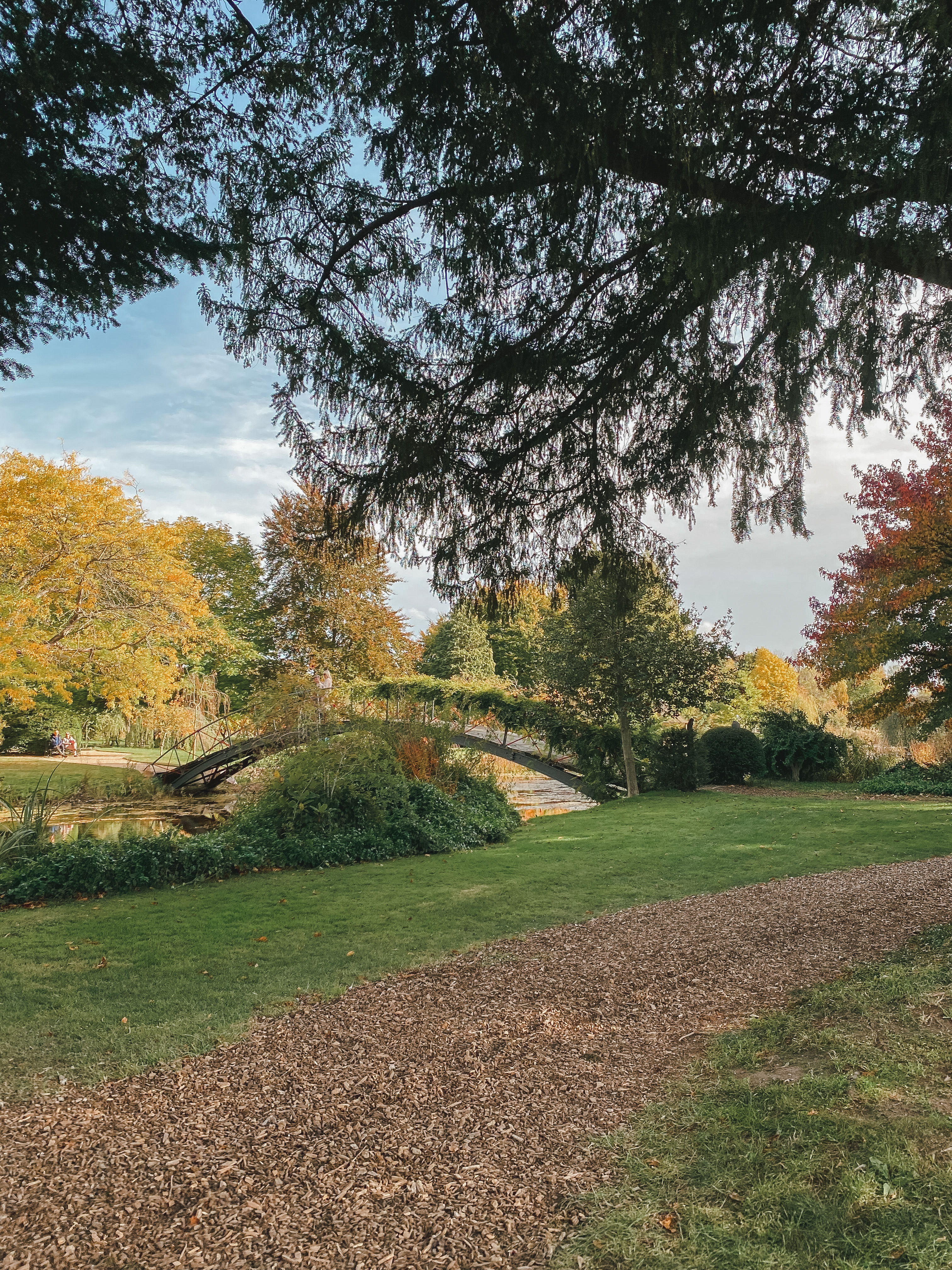 Autumn Colours @ Chippenham Park Gardens