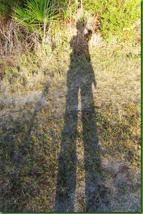 IMG_7882_thumb1