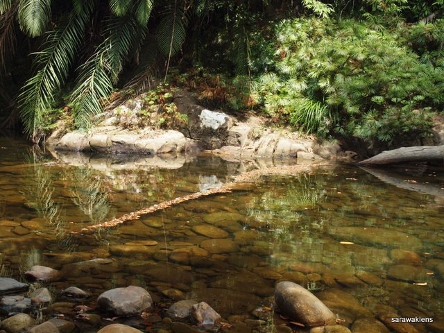 river_in_sarawak_04