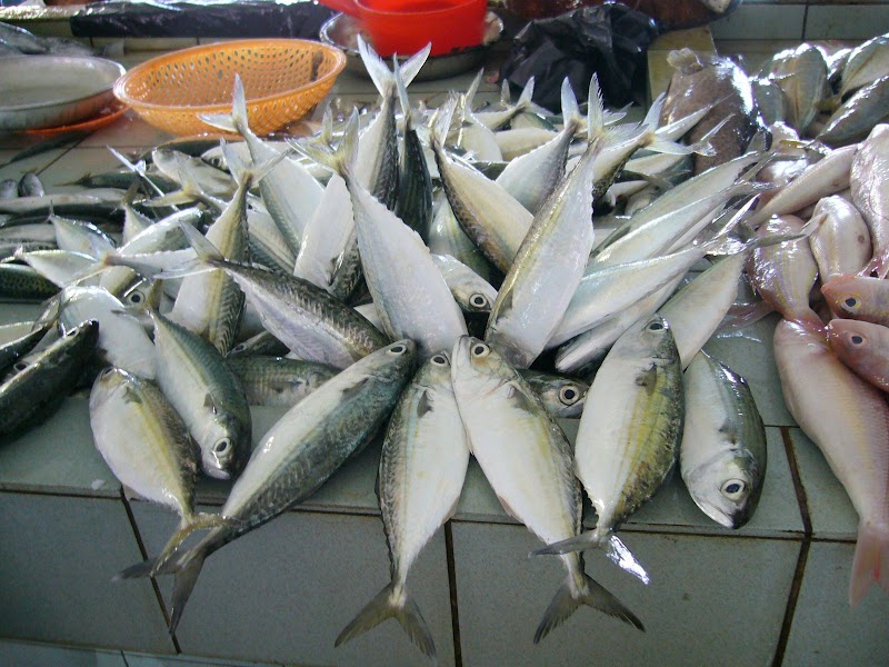 Ikan Bawal Masak Ide Keramik Spesial!