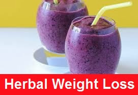 Top 5 Weight Loss Smoothie Recipes to Try from today