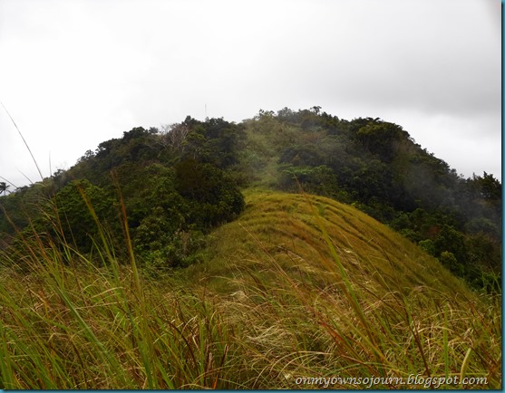 mt maraot2