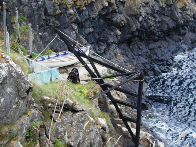 Day Trip to Giants Causeway & Carrick-a-rede