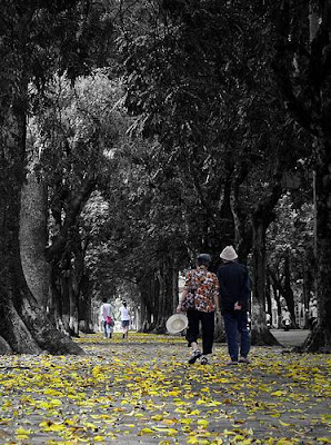 The famous Hanoi autumn melody - part 2