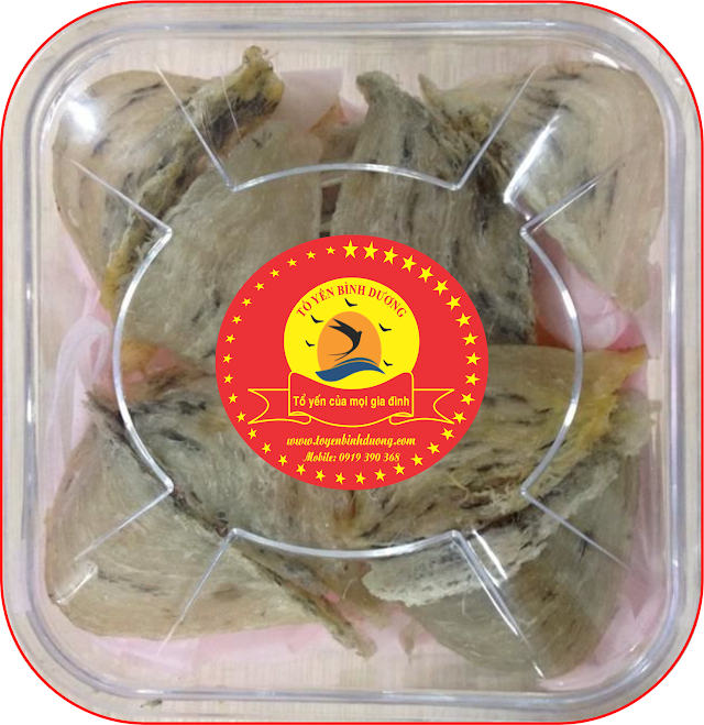 Tổ yến còn lông 100g loại 2