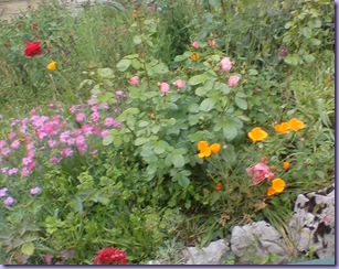 Resized_DSC00012