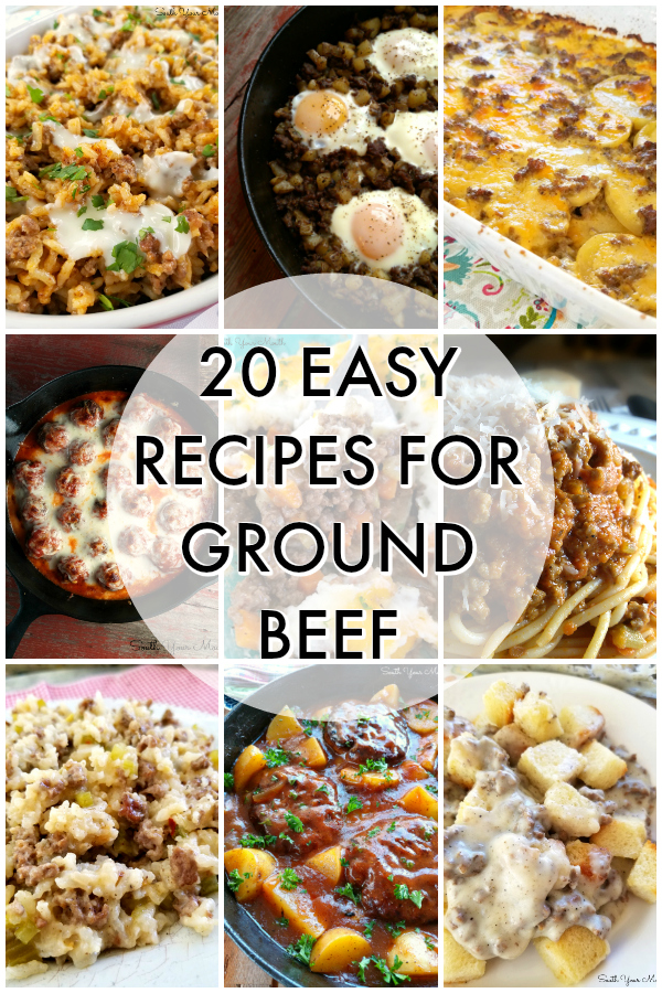 South Your Mouth 20 Easy Recipes For Ground Beef