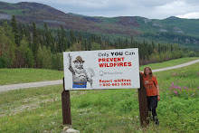 Liard Fire 84