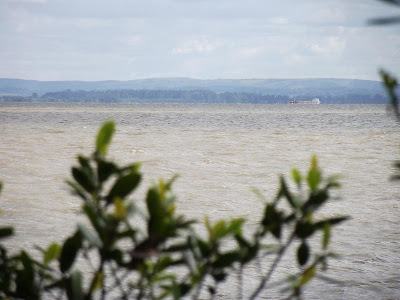 Ponta da Cuíca, Avenida Beira-Rio, Bairro Belém Novo, Lago, Rio, Guaíba, estrada, turismo,  tourism in Porto Alegre, Tourismus in Porto Alegre, ポルトアレグレの観光, 阿雷格里港旅游, السياحة في بورتو أليغري, туризъм в Порто Алегре, toerisme in Porto Alegre, turizam u Porto Alegreu, 포르투 알레그레에서 관광, Турызм у Порту-Алегри, Turismo en Porto Alegre, ferðaþjónustu í Porto Alegre, Porto Alegre, RS, Brasil