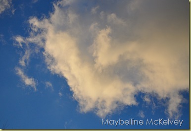 DSC_1070_2939