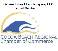 http://cocoabeachchamber.com/