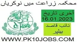 Agriculture Department Lahore Jobs 2023