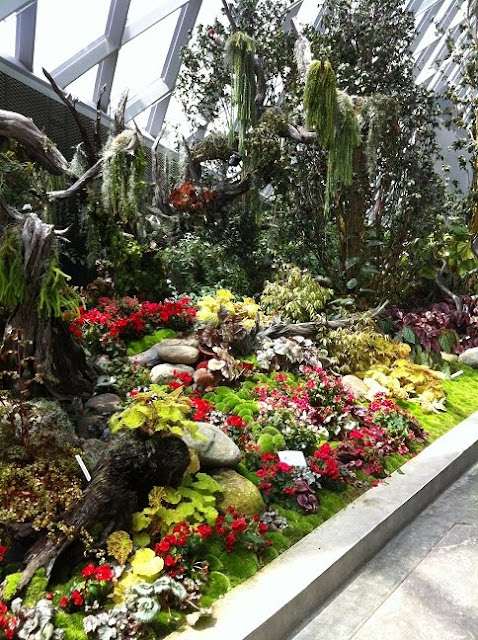 gardens by the bay cloud forest flower bed