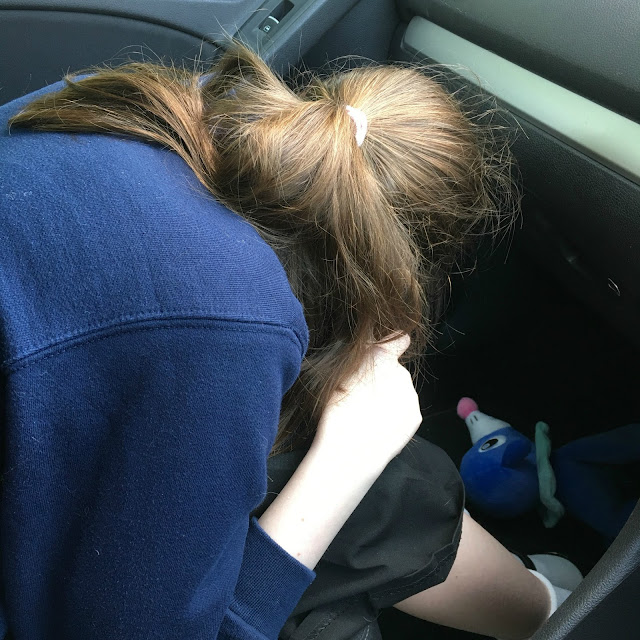 Sasha head down in car