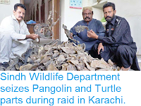 https://sciencythoughts.blogspot.com/2018/10/sindh-wildlife-department-seizes.html