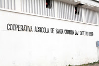 Café Portugal - PASSEIO DE JORNALISTAS na Serra do Caldeirão - S. Catarina da Fonte do Bispo