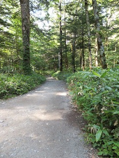 day1-167