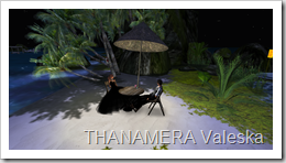 Snapshot_001 (2)
