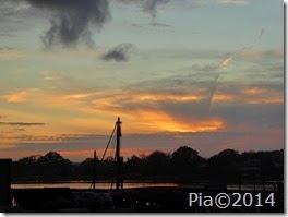 P1030970
