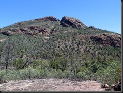 171107 120 Warrumbungles Wambelong Nature Trail