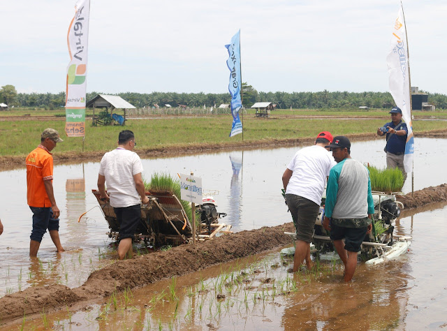 Anggota DPRD Pasbar Dedi Lesmana Hadiri Syukuran Turun ke Sawah di Bunuik Kinali