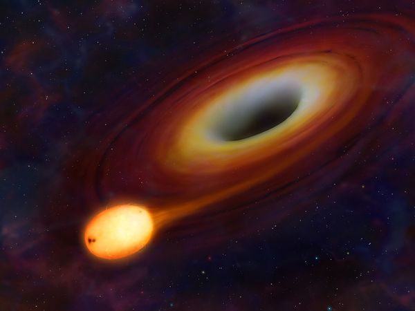Black Hole Consuming Star