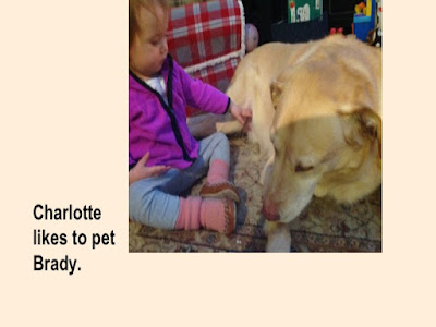 Image of baby petting dog with sentence: Charlotte like to pet Brady