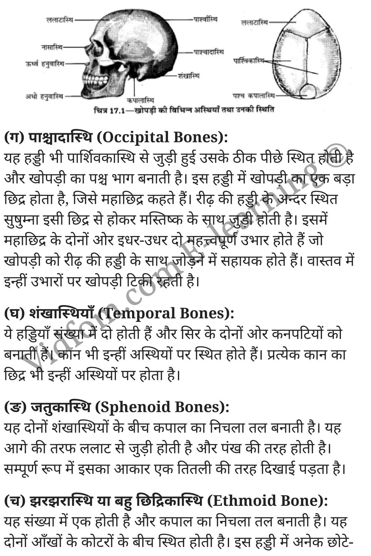 कक्षा 10 गृह विज्ञान  के नोट्स  हिंदी में एनसीईआरटी समाधान,     class 10 Home Science Chapter 17,   class 10 Home Science Chapter 17 ncert solutions in Hindi,   class 10 Home Science Chapter 17 notes in hindi,   class 10 Home Science Chapter 17 question answer,   class 10 Home Science Chapter 17 notes,   class 10 Home Science Chapter 17 class 10 Home Science Chapter 17 in  hindi,    class 10 Home Science Chapter 17 important questions in  hindi,   class 10 Home Science Chapter 17 notes in hindi,    class 10 Home Science Chapter 17 test,   class 10 Home Science Chapter 17 pdf,   class 10 Home Science Chapter 17 notes pdf,   class 10 Home Science Chapter 17 exercise solutions,   class 10 Home Science Chapter 17 notes study rankers,   class 10 Home Science Chapter 17 notes,    class 10 Home Science Chapter 17  class 10  notes pdf,   class 10 Home Science Chapter 17 class 10  notes  ncert,   class 10 Home Science Chapter 17 class 10 pdf,   class 10 Home Science Chapter 17  book,   class 10 Home Science Chapter 17 quiz class 10  ,   10  th class 10 Home Science Chapter 17  book up board,   up board 10  th class 10 Home Science Chapter 17 notes,  class 10 Home Science,   class 10 Home Science ncert solutions in Hindi,   class 10 Home Science notes in hindi,   class 10 Home Science question answer,   class 10 Home Science notes,  class 10 Home Science class 10 Home Science Chapter 17 in  hindi,    class 10 Home Science important questions in  hindi,   class 10 Home Science notes in hindi,    class 10 Home Science test,  class 10 Home Science class 10 Home Science Chapter 17 pdf,   class 10 Home Science notes pdf,   class 10 Home Science exercise solutions,   class 10 Home Science,  class 10 Home Science notes study rankers,   class 10 Home Science notes,  class 10 Home Science notes,   class 10 Home Science  class 10  notes pdf,   class 10 Home Science class 10  notes  ncert,   class 10 Home Science class 10 pdf,   class 10 Home Science  book,  class 10 Home Science quiz class 10  ,  10  th class 10 Home Science    book up board,    up board 10  th class 10 Home Science notes,      कक्षा 10 गृह विज्ञान अध्याय 17 ,  कक्षा 10 गृह विज्ञान, कक्षा 10 गृह विज्ञान अध्याय 17  के नोट्स हिंदी में,  कक्षा 10 का हिंदी अध्याय 17 का प्रश्न उत्तर,  कक्षा 10 गृह विज्ञान अध्याय 17  के नोट्स,  10 कक्षा गृह विज्ञान  हिंदी में, कक्षा 10 गृह विज्ञान अध्याय 17  हिंदी में,  कक्षा 10 गृह विज्ञान अध्याय 17  महत्वपूर्ण प्रश्न हिंदी में, कक्षा 10   हिंदी के नोट्स  हिंदी में, गृह विज्ञान हिंदी में  कक्षा 10 नोट्स pdf,    गृह विज्ञान हिंदी में  कक्षा 10 नोट्स 2021 ncert,   गृह विज्ञान हिंदी  कक्षा 10 pdf,   गृह विज्ञान हिंदी में  पुस्तक,   गृह विज्ञान हिंदी में की बुक,   गृह विज्ञान हिंदी में  प्रश्नोत्तरी class 10 ,  बिहार बोर्ड 10  पुस्तक वीं हिंदी नोट्स,    गृह विज्ञान कक्षा 10 नोट्स 2021 ncert,   गृह विज्ञान  कक्षा 10 pdf,   गृह विज्ञान  पुस्तक,   गृह विज्ञान  प्रश्नोत्तरी class 10, कक्षा 10 गृह विज्ञान,  कक्षा 10 गृह विज्ञान  के नोट्स हिंदी में,  कक्षा 10 का हिंदी का प्रश्न उत्तर,  कक्षा 10 गृह विज्ञान  के नोट्स,  10 कक्षा हिंदी 2021  हिंदी में, कक्षा 10 गृह विज्ञान  हिंदी में,  कक्षा 10 गृह विज्ञान  महत्वपूर्ण प्रश्न हिंदी में, कक्षा 10 गृह विज्ञान  नोट्स  हिंदी में,