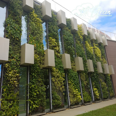 Tukang Vertical Garden Tangerang - Jasa Pemasangan Taman Vertikal Tangerang