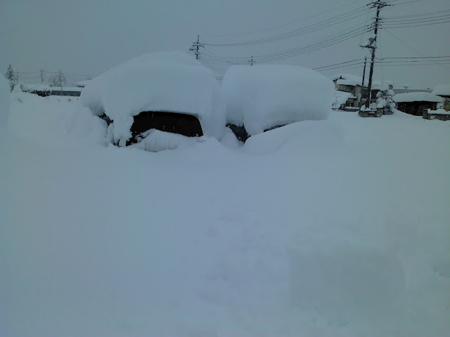 2014年 山梨 大雪