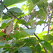 View album