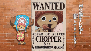 ワンピースアニメ チョッパー手配書 Tony Tony Chopper