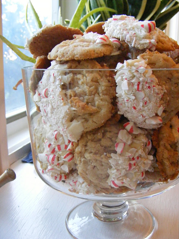 The Virtual Goody Plate: Paula's Dipped Christmas Cookies