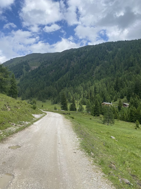 Escursione estiva a Malga San Silvestro