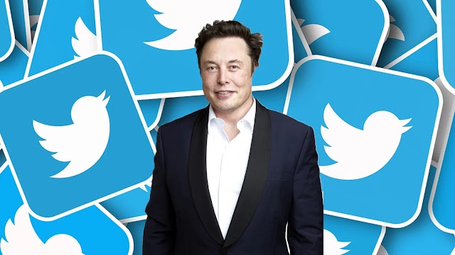 Elon Musk Limits Number of Tweets Users Can Read | The Impact of Elon Musk's Limits on Twitter Reading 